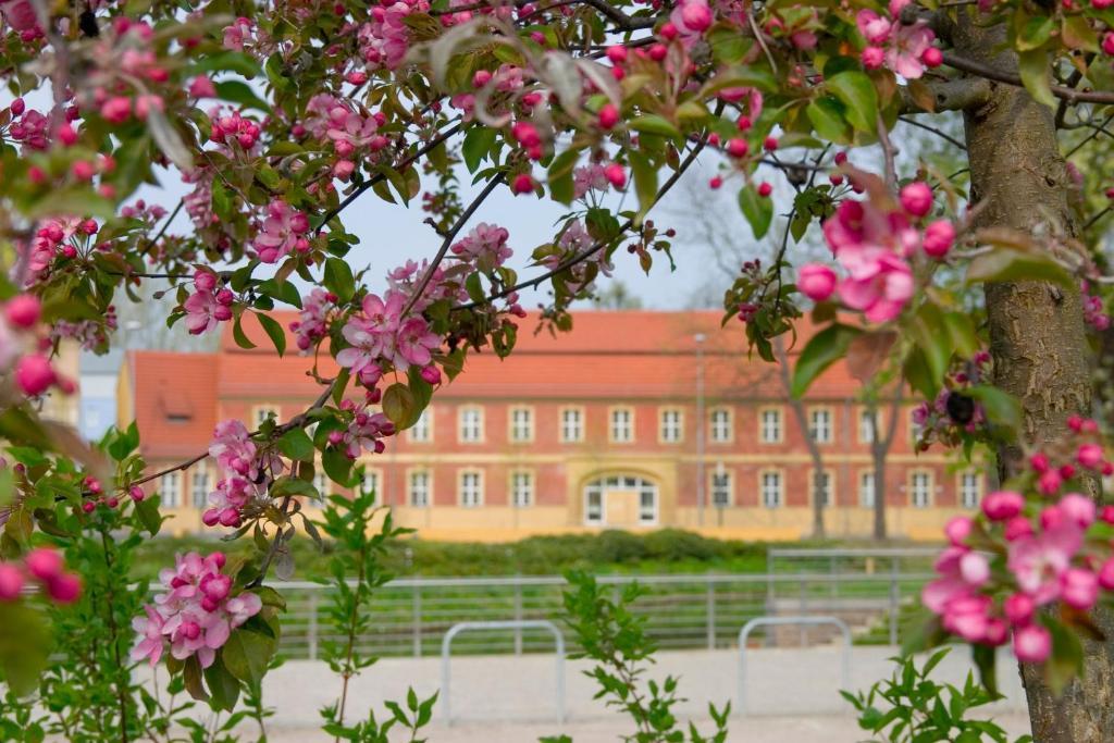 Hotel Vierseithof Лукенвалде Екстериор снимка