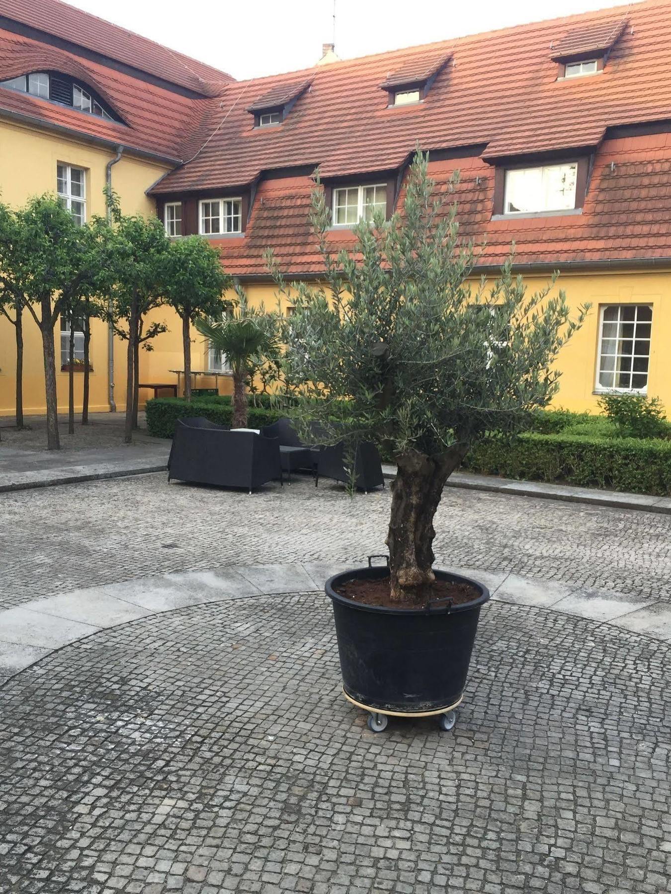 Hotel Vierseithof Лукенвалде Екстериор снимка
